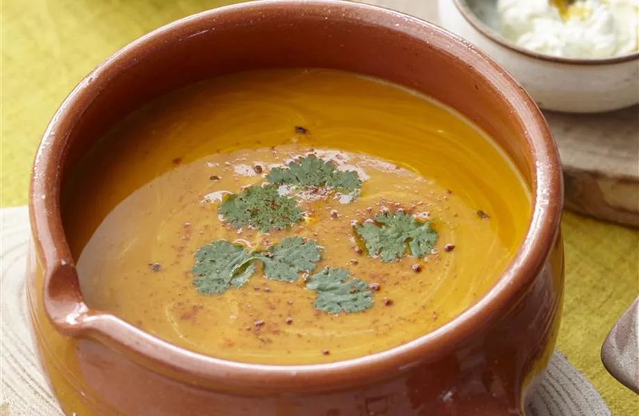 Kürbisernte Kürbisernte