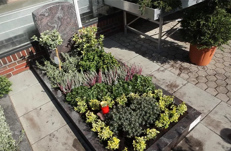 Das Grab im Lauf der Jahreszeiten