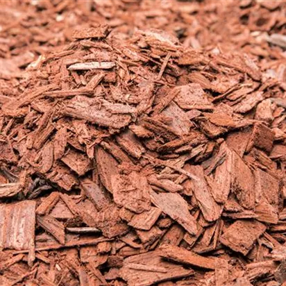 Der Mulch macht’s